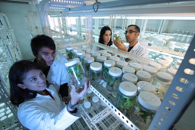 TDMA作為新型聚氨酯環保液體擴鏈劑在制備高回彈、低壓縮永久變形泡沫中的關鍵作用